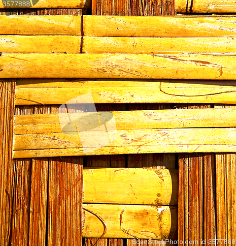 Image of  bamboo in the  kho phangan bay asia and  