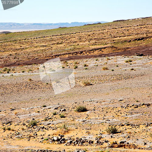 Image of mountain old fossil in  the desert of morocco sahara and rock  s