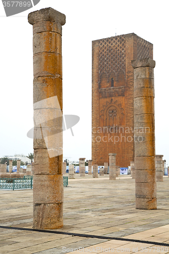 Image of the   chellah  in morocco africa  old roman deteriorated  