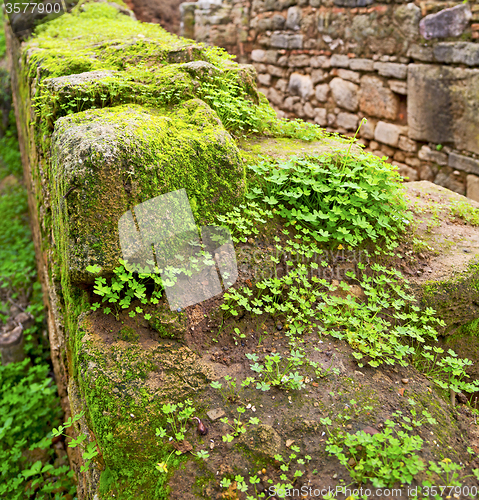 Image of chellah  in morocco africa the old roman deteriorated monument a