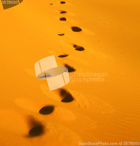 Image of the brown sand dune in the sahara morocco desert 