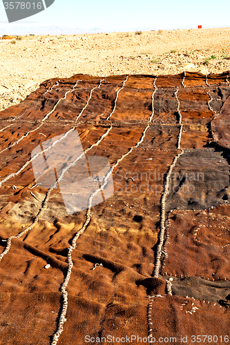 Image of carpet  in    africa  atlas dry mountain utility pole 