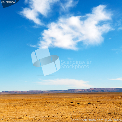 Image of mountain old fossil in  the desert of morocco sahara and rock  s