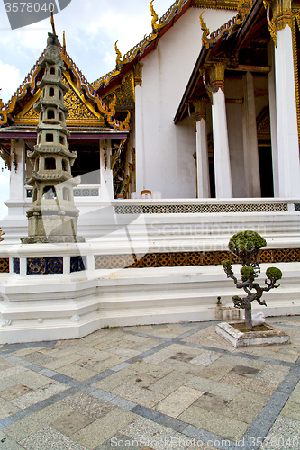 Image of  pavement gold    temple   in   bangkok  bonsai