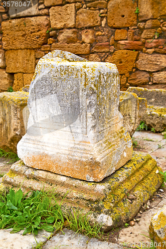 Image of chellah  in morocco africa the old tombstone