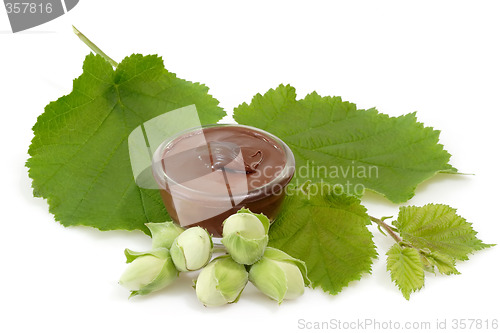 Image of Chocolate creme with hazelnuts