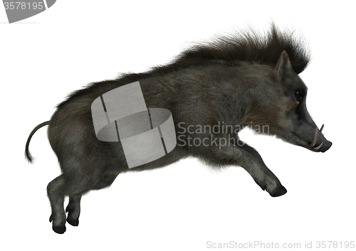 Image of Warthog