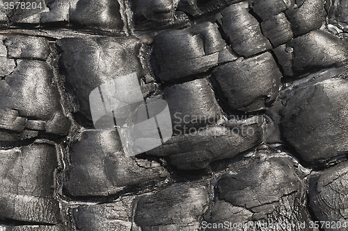 Image of Burnt wood, texture