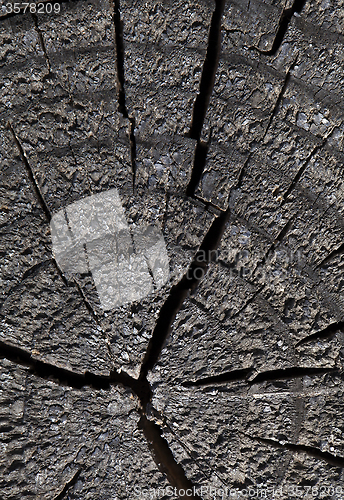 Image of Abstract cracked wood  