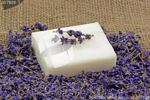 Image of Lavender