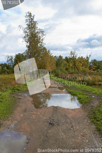 Image of Autumn puddle on forest path in the park cloudy day