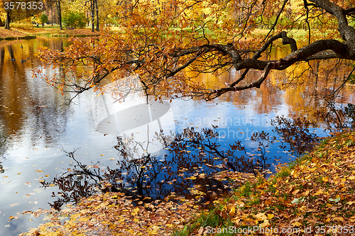 Image of Beautiful colors of autumn landscape by the lake