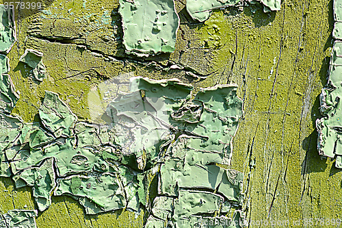 Image of old green colored wooden plank surface