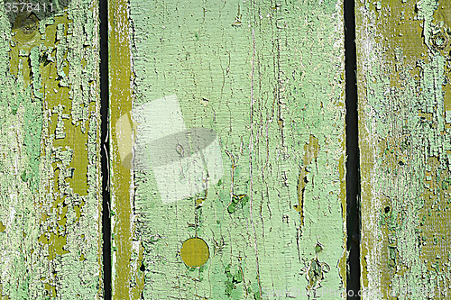 Image of Surface of an empty green wooden background.