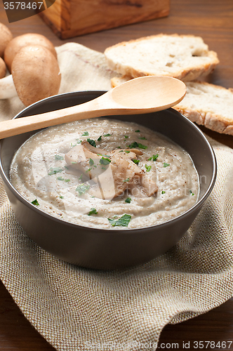 Image of Cream of porcini mushrooms with cream and parsley