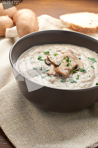 Image of Cream of porcini mushrooms with cream and parsley