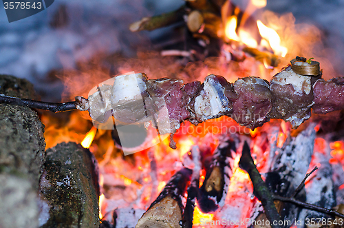 Image of Skewers of beef, pork cooked on a campfire 