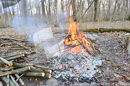 Image of A fire in a forest in spring