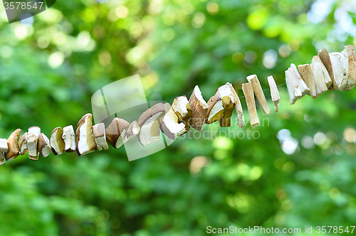 Image of Sliced mushrooms are dried on a string 