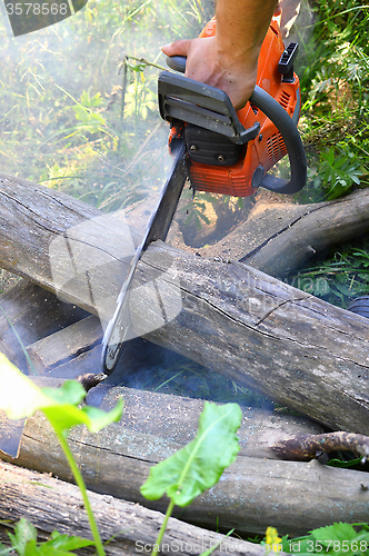 Image of Chainsaw cut wooden logs