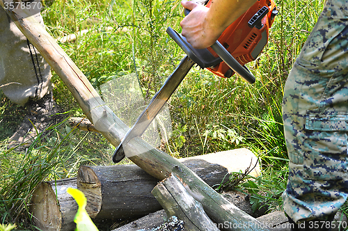 Image of Chainsaw cut wooden logs