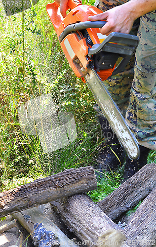 Image of Chainsaw cutting wood in the forest