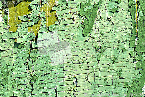 Image of old green colored wooden plank surface