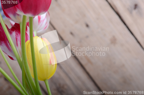 Image of red tulips and yellow flower tulip