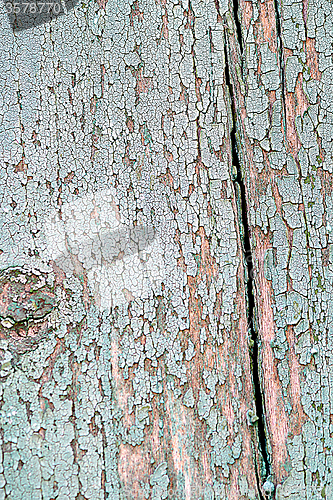 Image of Wood plank texture, background