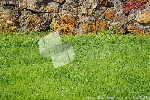 Image of Green Lawn