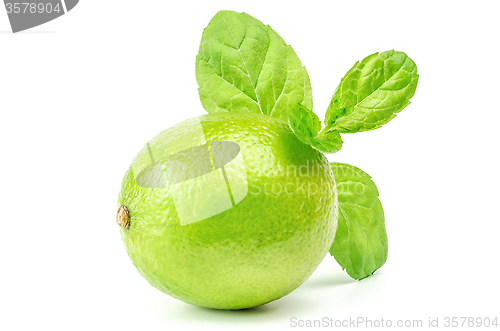 Image of Lime