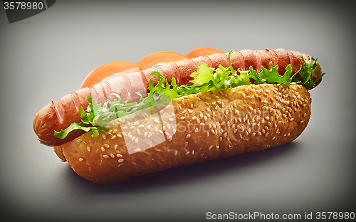 Image of Hot Dog