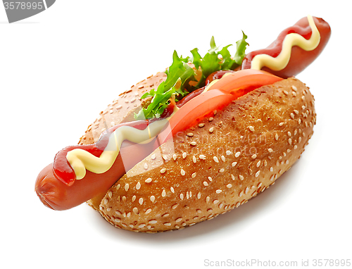 Image of Hot dog on white background