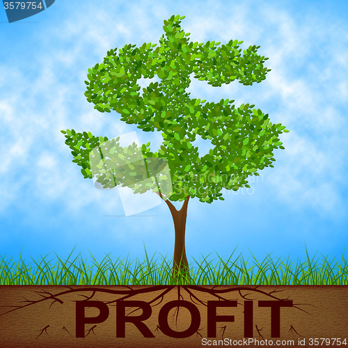 Image of Profit Tree Shows United States And Banking