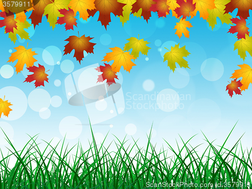 Image of Autumn Landscape Shows Text Space And Blank