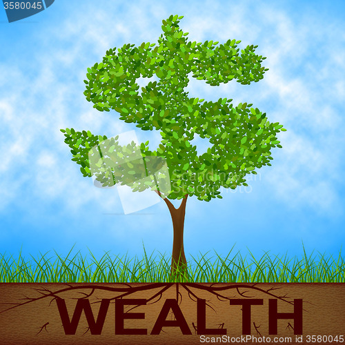 Image of Wealth Tree Shows American Dollars And Branch