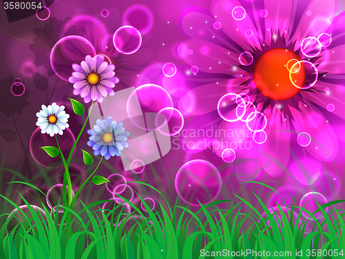 Image of Flowers Background Shows Admiring Beauty And Growth\r