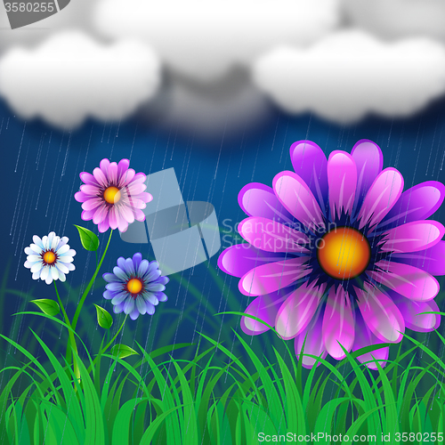 Image of Flowers Background Indicates Clothes Line And Abstract