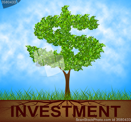 Image of Investment Tree Indicates American Dollars And Branch