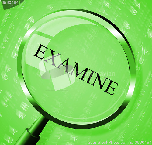 Image of Examine Magnifier Means Investigate Magnify And Studying