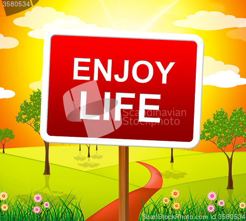 Image of Enjoy Life Shows Live Joyful And Happiness