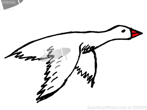 Image of goose