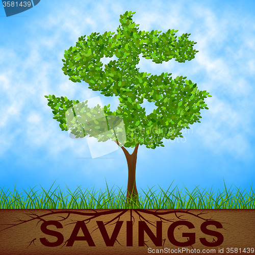 Image of Savings Tree Shows United States And Banking