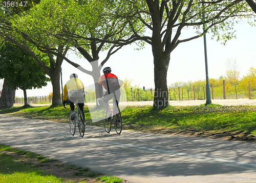 Image of Bicycling in a park