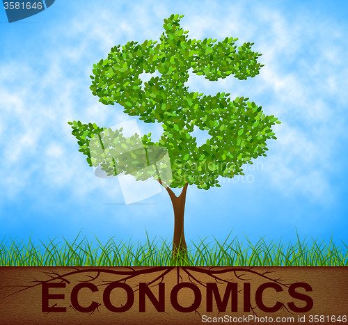 Image of Economics Tree Indicates American Dollars And Branch