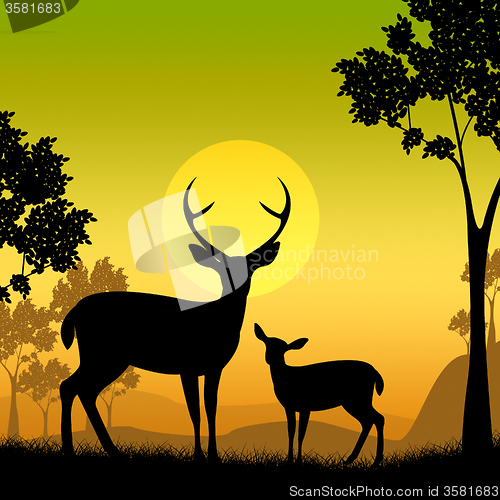 Image of Deer Wildlife Indicates Safari Animals And Evening
