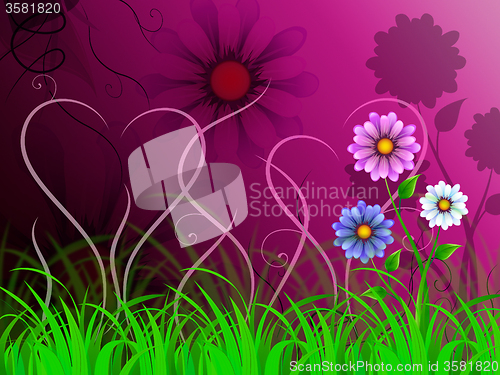 Image of Flowers Background Shows Colorful Pretty And Natural World\r