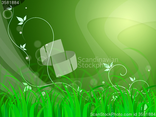 Image of Floral Horizon Background Shows Natural Field Or Fresh Environme