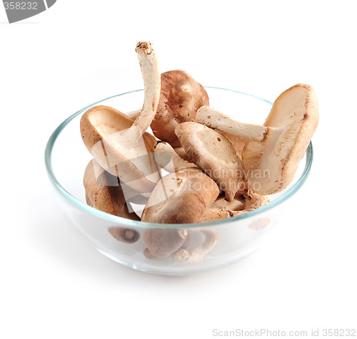 Image of Shiitake mushrooms