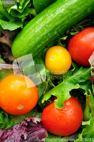 Image of Fresh vegetables